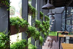 Tersano – A New Era in Sustainable Cleaning